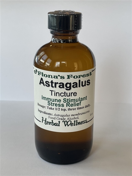 Astragalus