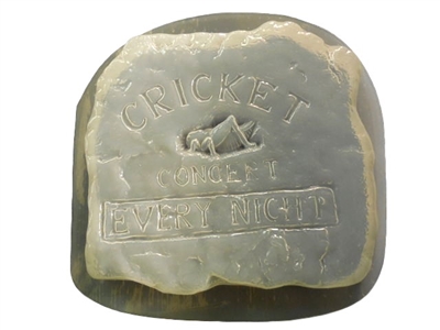 Cricket concrete stepping stone mold 1344