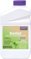 Burnout Concentrated all natural, weed killer.Biodegradable, safe for humans and animals