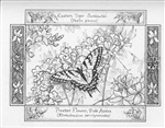 Butterfly Note Cards by Artist Linda Cook DeVona - 6 Note Cards