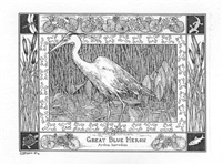 Blue Heron Note Card