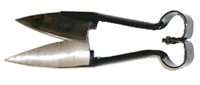 Onion Shears
