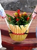 The Pot Lifter