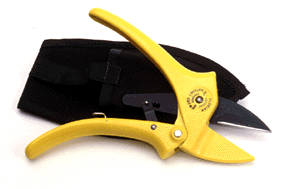 Ratchet-Cut Pruner