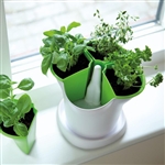 Self Watering Herb Pot - Made in the UK