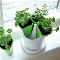 Self Watering Herb Pot - Made in the UK