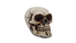 Gennie Shifter Skull Shift Knob