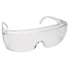 End-Fog Clear Frame, Clear Lens, 3556C