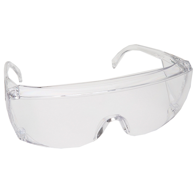 End-Fog Clear Frame, Clear Lens, 3556C