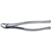 Presidential Extraction Forceps 151, Cryer, F151