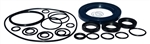 Comet EWD Series Oil Seal Kit