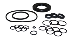 COMET BW SERIES OIL SEAL KIT