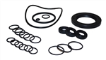 Comet AW Series Oil Seal Kit