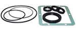 AR RKV Series Pump Oil Seal Kit AR1856
