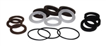AR (Annovi Reverberi) Water Seal/Packing Kit AR2278