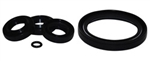 AR (Annovi Reverberi) Oil Seal Kit