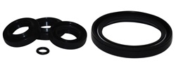 AR2591 OIL SEAL KIT
