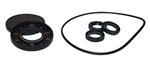 AR Pump Oil Seal Kit  AR2786