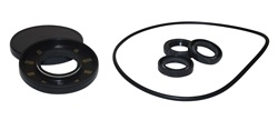 AR PUMP OIL SEAL KIT  AR2786