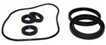 AR (Annovi Reverberi) Pump Oil Seal Kit  AR2787
