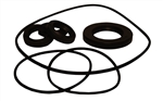 AR Pump Oil Seal Kit  AR2873