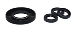 AR (Annovi Reverberi) Pump Oil Seal Kit  AR42468