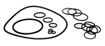 AR (Annovi Reverberi) AR42470 O-Ring Kit For RC Series AR Pumps