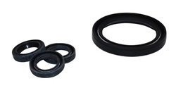 AR PUMP OIL SEAL KIT  AR42555