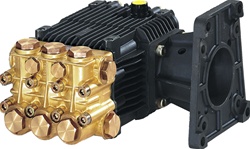 AR RKV4G37D-F24 Industrial Triplex Pump