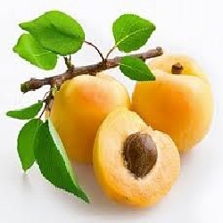 Apricot Kernel Oil