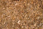 Bayberry Root Bark C/S<br>16 oz Net Wt.