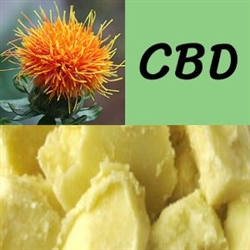 Base 2 Cream - Extra Moisturizing - CBD