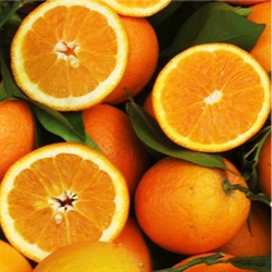 Orange Aroma - Oil Based