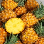 Pineapple Aroma - Oil Based