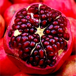 Pomegranate Gel Base - All Natural