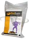 Proteam Everest Paper Bag 10 Pack Hummer XL 103191