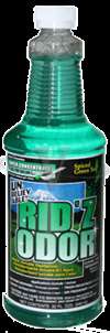 Core Ridz Spiced Green Tea 12 per Case