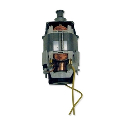 ProTeam 106918 complete 120 watt replacement brush motor for Wessel-Werk power nozzle head