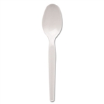 Dixie Plastic Tableware, Heavy Mediumweight Spoons, Whi