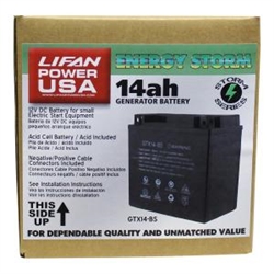 LIFAN 12-Volt 14 Amp Acid Cell Battery for Generators, Pressure Washers and Machines 9 HP and Above GTX14-BS