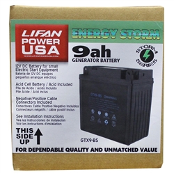 LIFAN 12-Volt 9 Amp Acid Cell Battery for Generators, Pressure Washers and Machines 7 HP and Below #GTXS-9