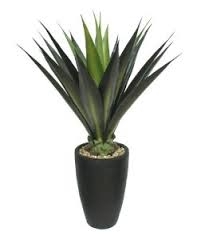 Laura Ashley 44 Inch Tall High End Realistic Silk Giant Aloe Plant with Contemporary Planter