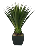 Laura Ashley 43 Inch Tall High End Realistic Silk Giant Aloe Plant with Contemporary Planter