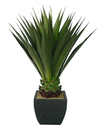 Laura Ashley 43 Inch Tall High End Realistic Silk Giant Aloe Plant with Contemporary Planter