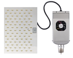 LED 4000K Dimmable Shoe Box / Wall Pack LED-8091M40D