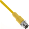 Mencom Micro AC Cordset - MAC-2MP-2M