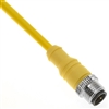 Mencom Micro AC 1/2"-20 Cordset - MAC-5MP-4M