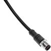 M12 12 Pole Molded Cable - MDCPM-12MP-2M-B