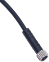 Mencom NAN-T-6FP-5M Female Straight Pico M8 Cordset