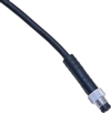 Mencom NAN-T-6MP-2M Male Straight Pico M8 Cordset